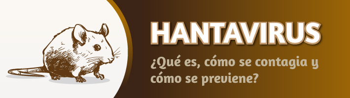 Información sobre los Hantavirus