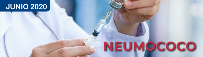 Vacuna contra el neumococo Vacuna contra el neumococo
